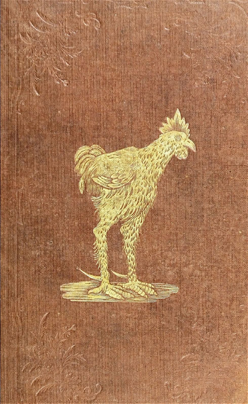The History of the Hen Fever. A Humorous Record