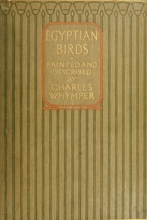 Egyptian Birds
For the most part seen in the Nile Valley