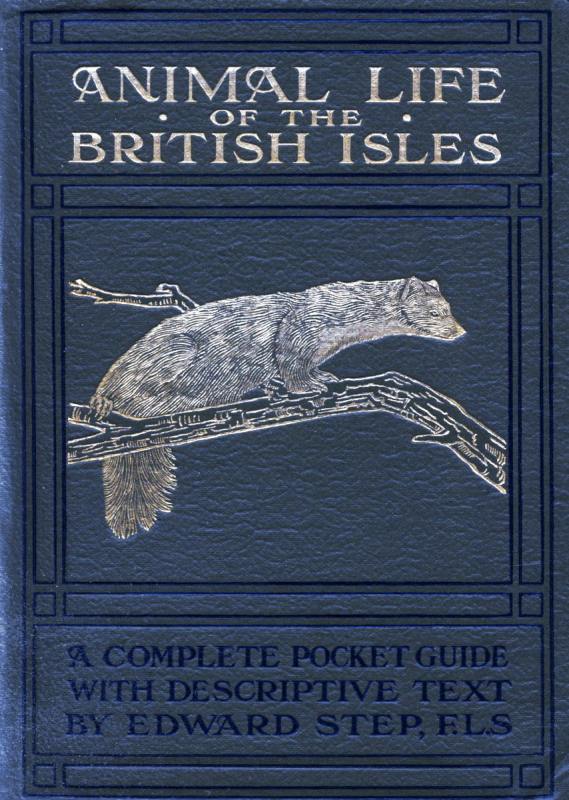 Animal Life of the British Isles A Pocket Guide to the Mammals, Reptiles and Batrachians of Wayside and Woodland Animal Life of the British Isles A Pocket Guide to the Mammals, Reptiles and Batrachians of Wayside and Woodland