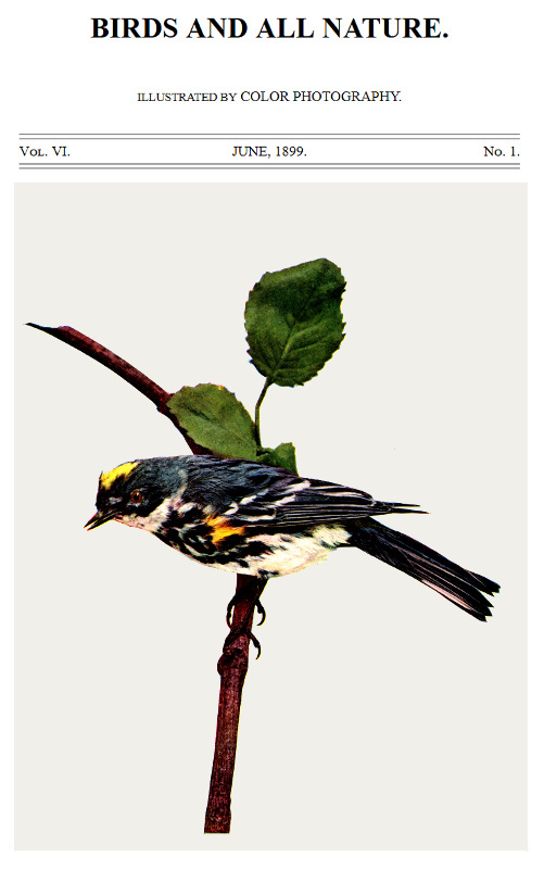 Birds and All Nature, Vol. 6, No. 1, June 1899 Illustrated by Color Photography Birds and All Nature, Vol. 6, No. 1, June 1899 Illustrated by Color Photography