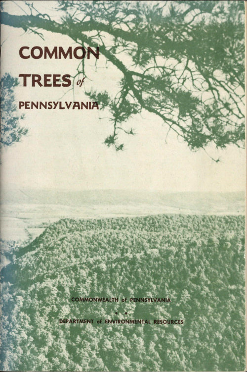 Common Trees of Pennsylvania Common Trees of Pennsylvania