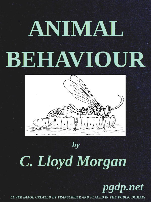 Animal Behaviour Animal Behaviour