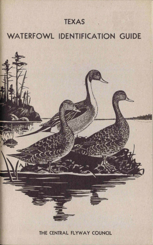 Waterfowl Identification Guide Waterfowl Identification Guide