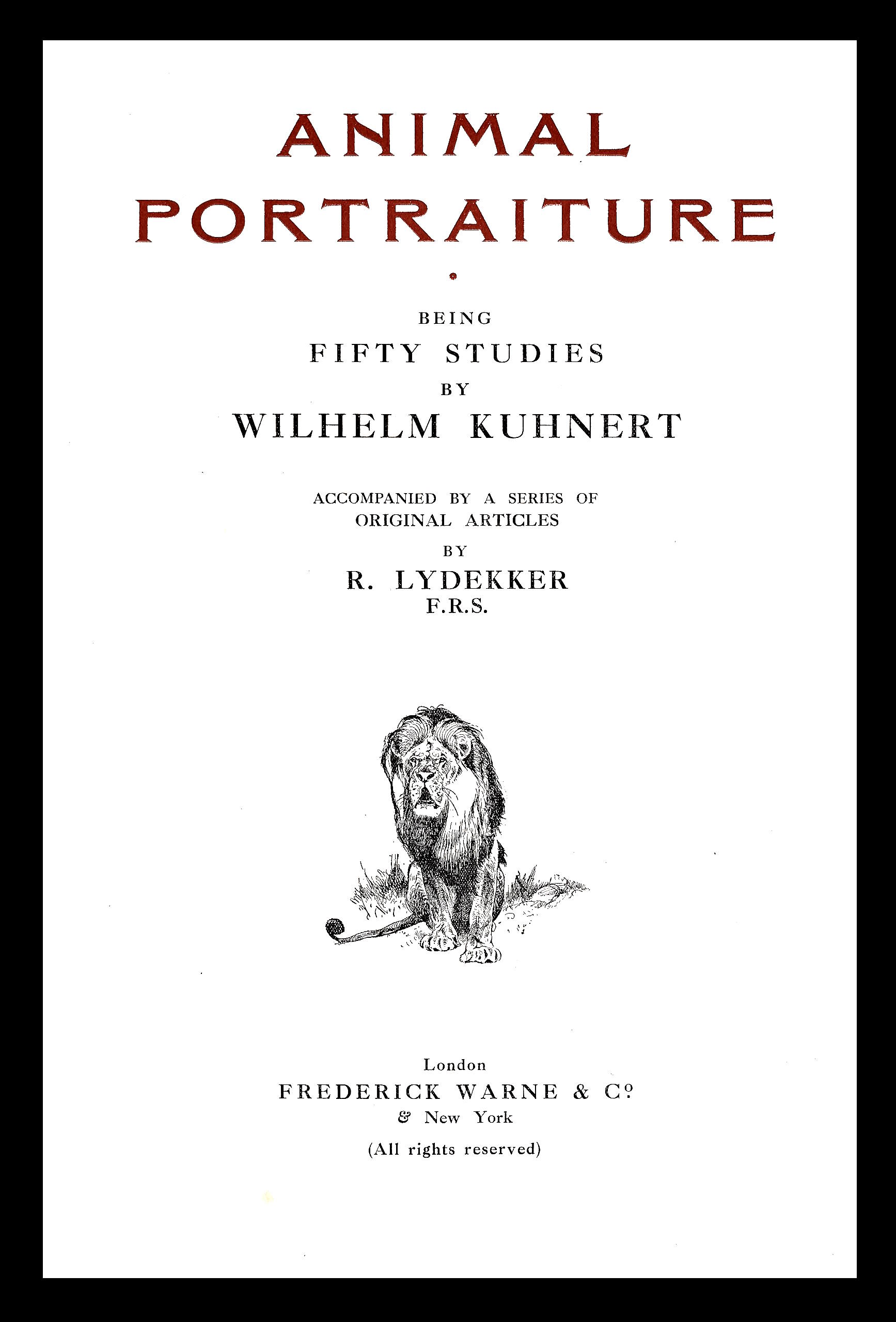 Animal portraiture Animal portraiture